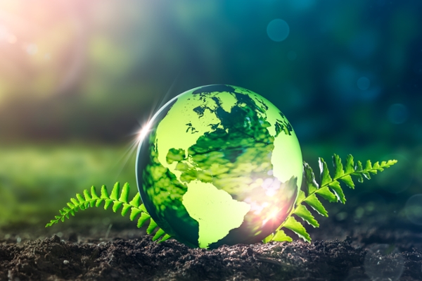green globe in soil with sunshine